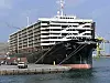 Djurtransporter över haven
