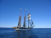 Segelfartyget Lady Ellen med seglen satta.