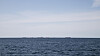 Lugnt hav med en tunn kustlinje långt bort i horisonten under klar himmel.