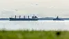 Bulkfartyg för ankar utanför Landskrona.