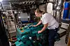 Även en fartygsmotor behöver lite kärlek menar Madelaine Öfverberg som 
då och då ger en extra klapp till Volvo Penta­-maskinen ombord på Soya III.