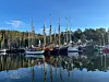 Saltkråkan Race samlar traditionella segelfartyg i Napoleonviken i Stockholms skärgård.
