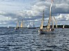 När Saltkråkan Race går av stapeln fylls horisonten av traditionella segelfartyg under fulla segel.