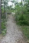 Ytterby gruva på Resarö i Stockholms skärgård. Här upptäcktes flera sällsynta jordartsmetaller som i dag är viktiga för modern teknik.